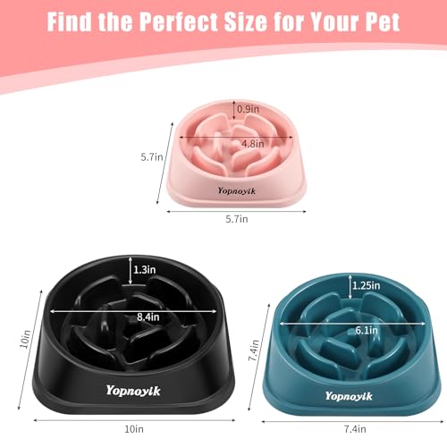 2 Pack Slow Feeder Dog Bowls for Small Dogs (Small / Black and Pink)