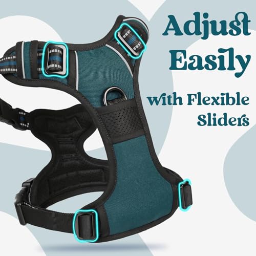 Dog Harness for Large (X-large / Blue Coral)