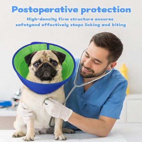 Soft Dog Cone Collar to Stop Licking After Surgery (Blue / L)