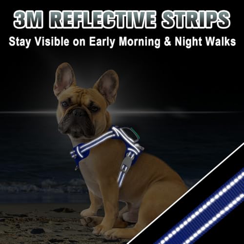 Dog Harness for Small Sized Dog No Pull Dog Vest ID Tag Pocket (Sapphire Blue / X-Small)