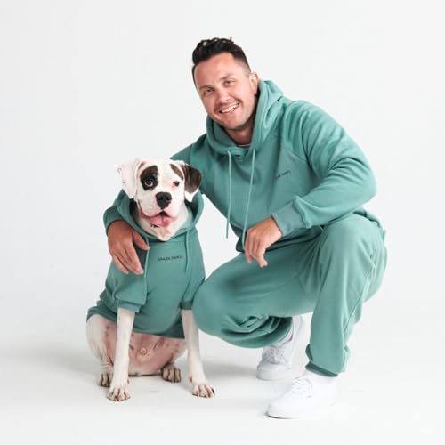 Dog Hoodie Buttery (Teal / Large)