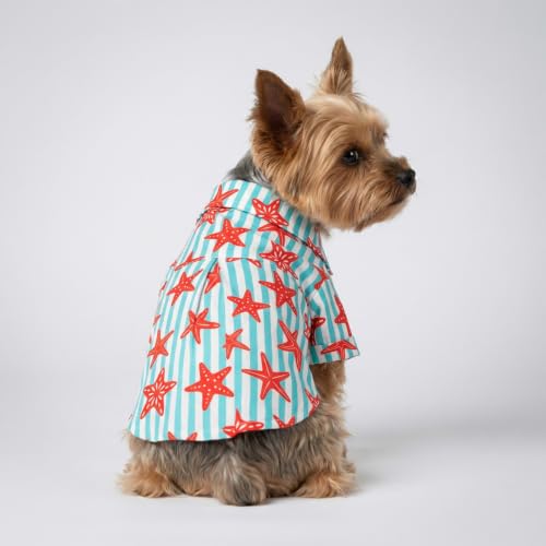 Starfish Striped Dog Shirt (XX-Large / Starfish)