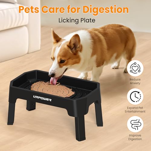 Elevated Dog Bowls (Black / Large)