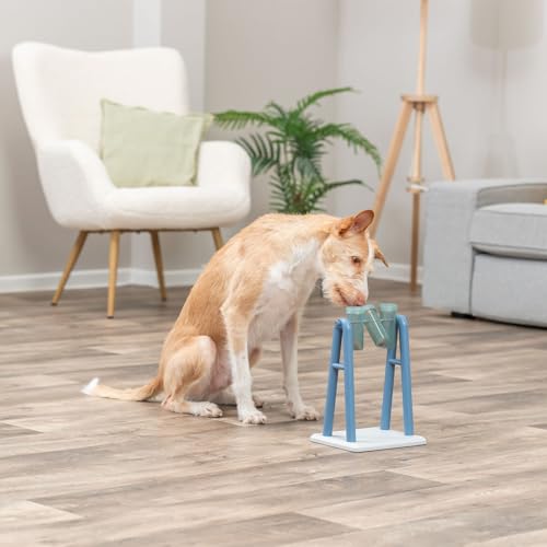 Turn Around Mad Scientist Dog Activity Interactive Toy (Turn Around / Level 2)