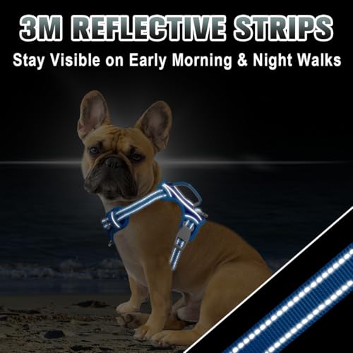Dog Harness for Small Sized Dog No Pull Dog Vest ID Tag Pocket (Sapphire Blue & Blue / Small)