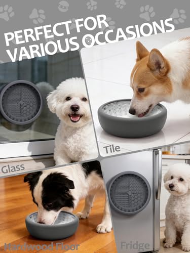 Dog Lick Bowl with Brush and Scraper (Gray / Small)