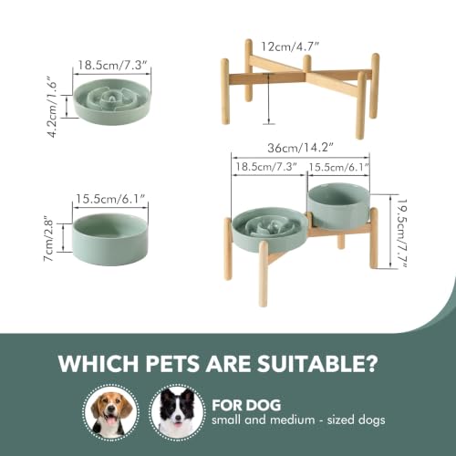 Elevated Slow Feeder Dog Bowls (Light Green)