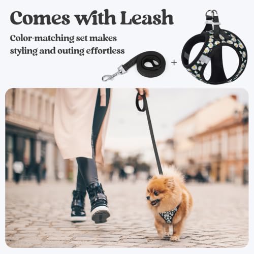 Dog Harness Medium Sized and Leash Set (Midnight Daisy / M (chest: 16 - 18.5"))