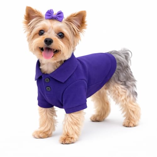 Basic Dog Polo Shirts Premium Cotton (S (-9lbs) / Purple)