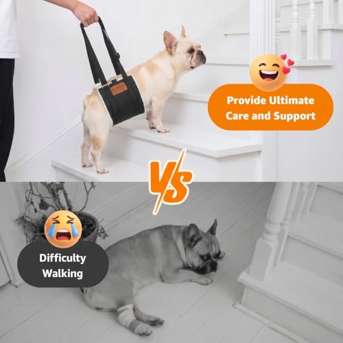 Adjustable Dog Lifting Harness (Black / Large)