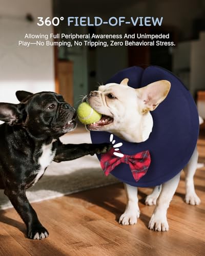 Inflatable Dog Cone (Bow Tie / XL(21"-24"))