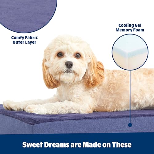 Orthopedic Dog Bed (Navy / Medium)