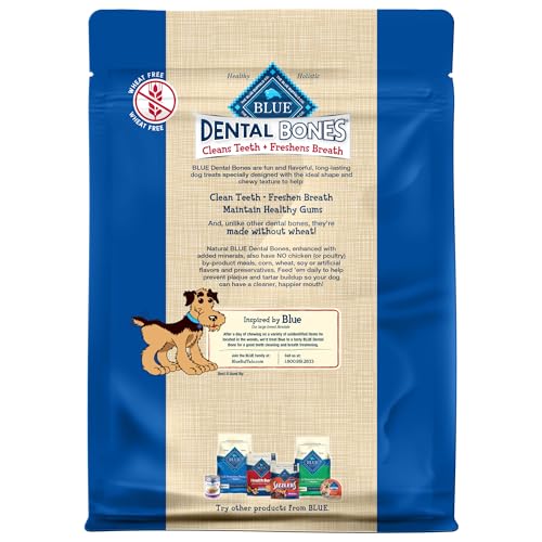Regular Dental Bones (1.69 Pound (Pack of 1))