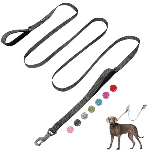 10 FT Heavy Duty Dog Leash (10 Feet (Pack of 1) / Black)