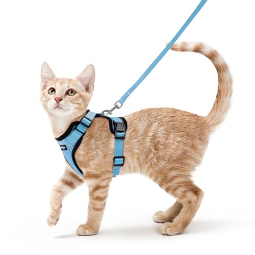Cat Harness and Leash Set (S / Light Blue)
