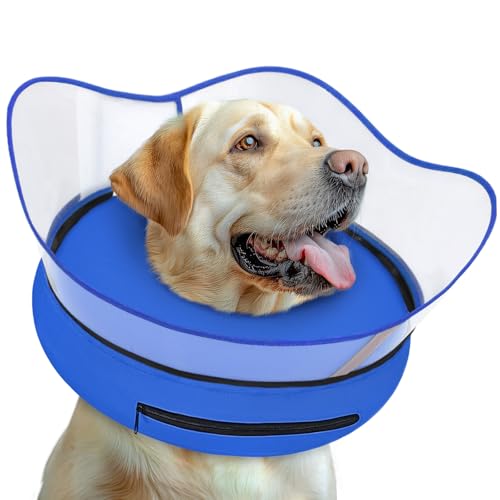Elevated Inflatable Dog Cone Collar Alternative After Surgery (Solid Blue / L(Neck 12"-16"))