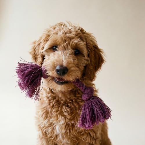 Tug Rope Dog Toys for Small Dogs (Small (VALUE 2-Pack) / Bacon)