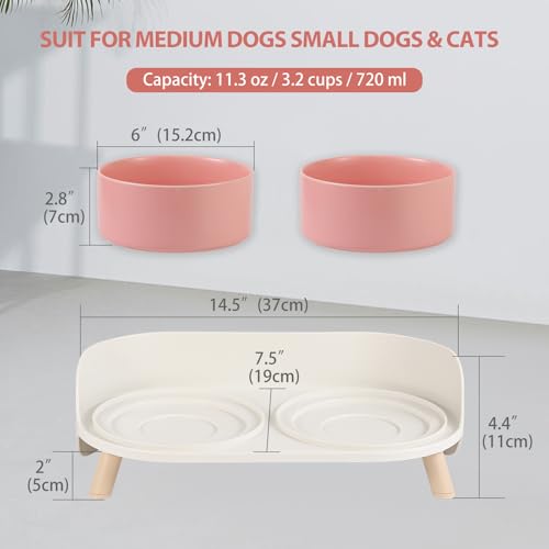 Elevated Ceramic Dog Bowl Set (Pink / Medium)
