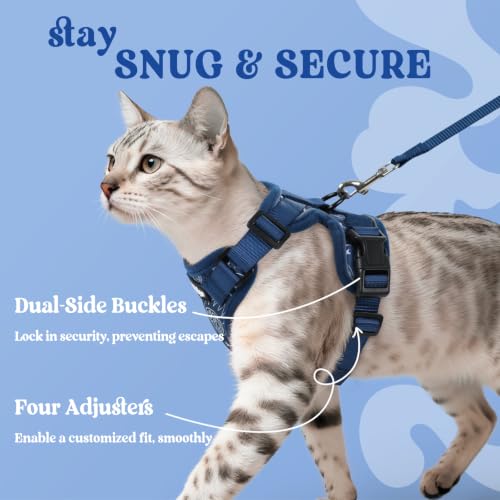 Cat Harness and Leash Set (S / Cosmic Ace)