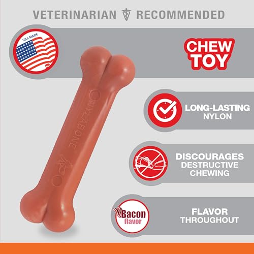 Power Chew Classic Bone Chew Toy for Dogs (X-Small)