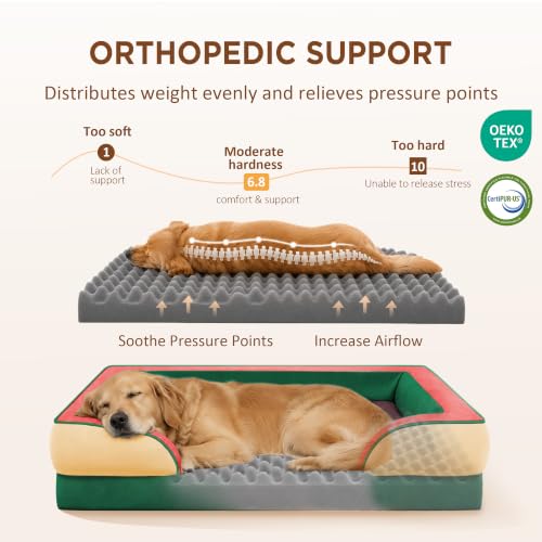 Orthopedic Dog Bed for Extra Large Dogs with Bolster (45.0"L x 35.0"W x 8.5"Th / Watermelon Meadow)