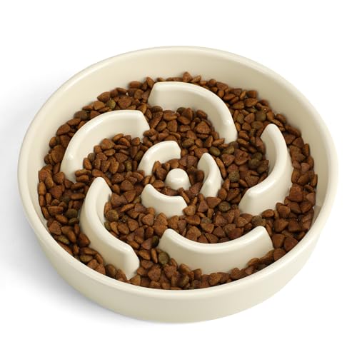 Ceramic Slow Feeder Dog Bowl (Flower - White / 2 Cups)