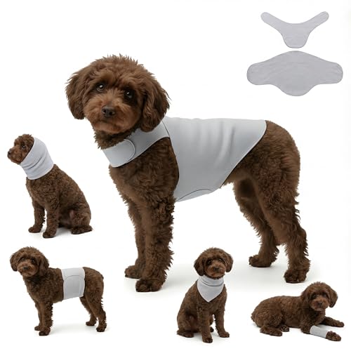 Dog & Cat Surgery Recovery Suit and Anxiety Wrap (S / Gray)
