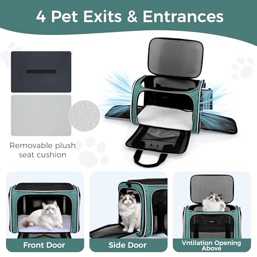 Pet Travel Carrier (Green / 17.0"L x 11.0"W x 12.0"H)