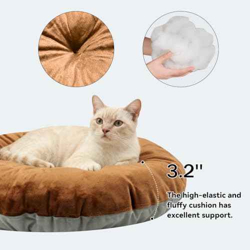 Cat Beds for Indoor Cats (Sunflower Brown / L)