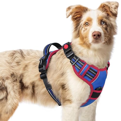 Dog Harness Medium Sized (Medium / Blue & Red)