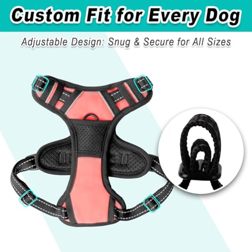 Dog Harness for Small Sized Dog No Pull 2 Leash Clips Dog Vest (X-Small / Light Pink)