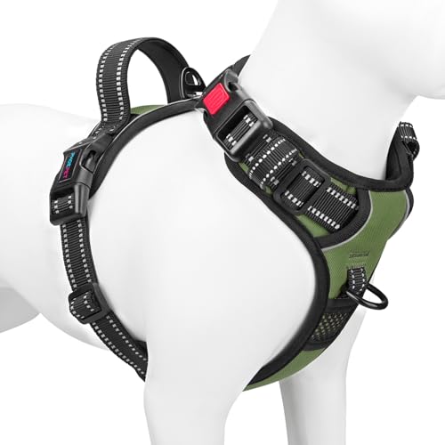 No Pull Dog Harness with Handle Front & Back Clip (Small / Misty Green)