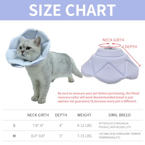 Soft Cat Recovery Collar (Medium / Blue)