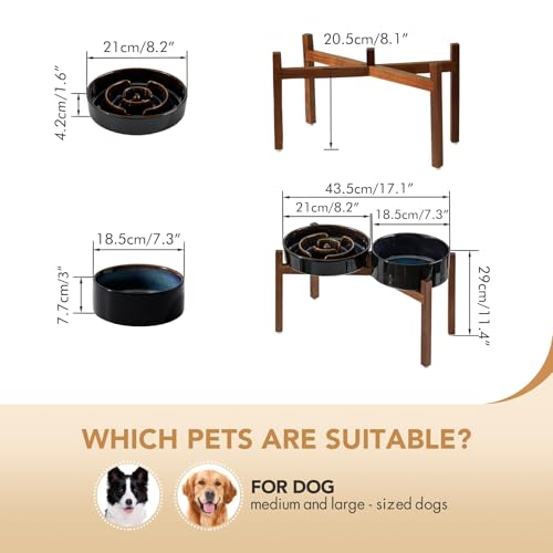 Raised Slow Feeder Dog Bowls (2 x Starry Sky + Stand - A / L- 8.2inch / 1.6 Cups)