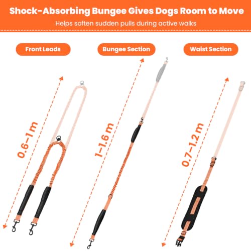 Hands Free Double Dog Leash (Orange)