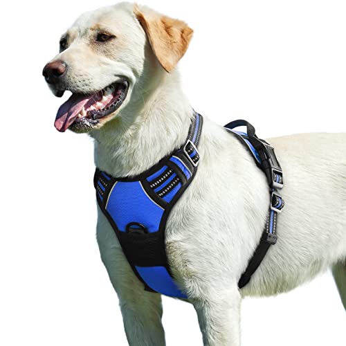 Dog Harness for Large Dogs (Large / Blue)