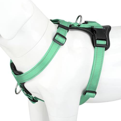 No Pull Dog Harness with Leather Accents (S / Teal)