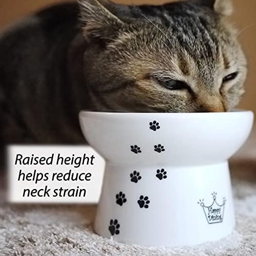 Necoichi Ceramic Elevated Cat Food Bowl (Cat / Regular)