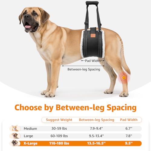 Adjustable Dog Sling for Large Dogs Hind Leg Support ACL Recovery (Extra Large)