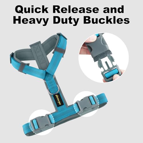 No Pull Dog Harness (L / Cyan)
