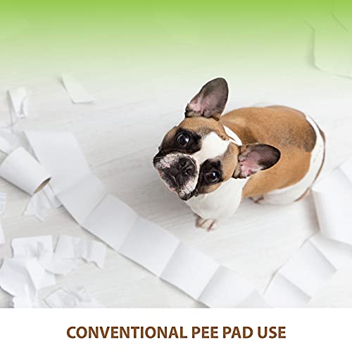 Puppy Pee Pad Holder Indoor Outdoor Dog Potty Toilet Training Tray 20" x 16" for Small and Medium Dogs (IVORY)