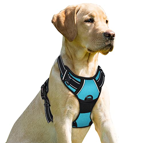 Dog Harness No Pull for Large Dogs Front Back Clips (Large(Chest:24.5-32.5") / Blue)