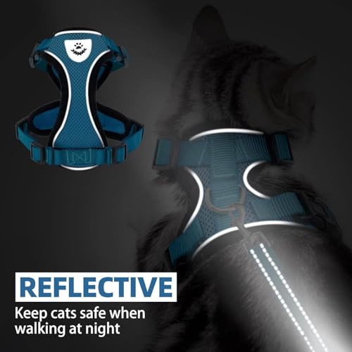 Cat Harness and Leash Set Escape Proof Reflective Cat Walking Harness Adjustable Soft Breathable Mesh Vest for Small Pets (M (NECK 11"-13.7", CHEST 16"-20") / Blue)