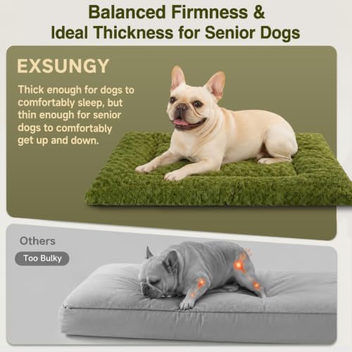 Washable Dog Bed Mat Medium Size Fluffy Pet Crate Pad 36x23 (Green / 36.00" x 23.00" x 1.50")