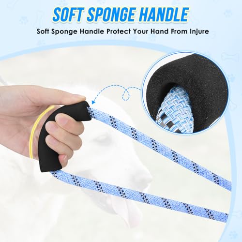 Hands Free Dog Leash (Blue)