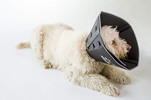 Comfy Cone Pet Cone for Dogs (Black / XL(Neck to Nose 12"))