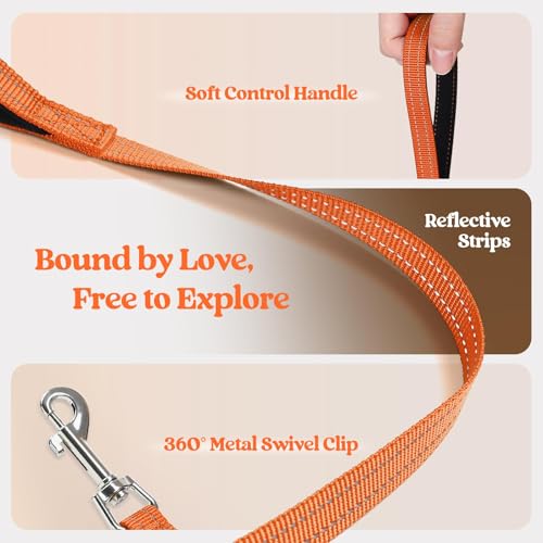 Dog Harness Small Sized and Leash Set (Orange / Xxxs (chest: 10.8 - 11.8"))