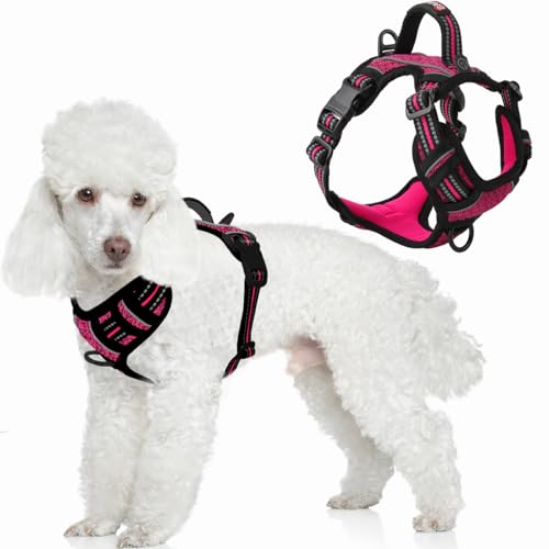 No Pull Dog Harness for Small Sized Dogs (X-Small(Chest:15.5-19.5”) / Pink/Black)