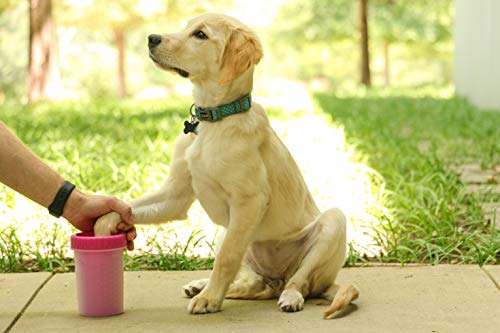 MudBuster Medium Dog Paw Cleaner (Pink / Medium)