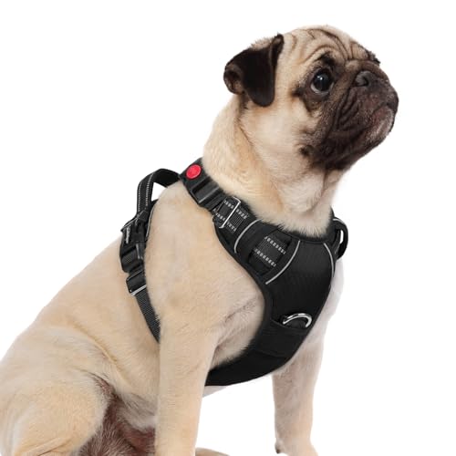 Dog Harness Small Sized (Black / Small)